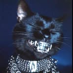 Hawk David - Facebook Profile Picture of Hawk David (@hawk.david.2025) on Facebook