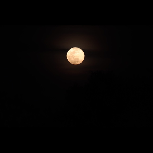 Profile Picture of David Delacruz (@tendop) on Poshmark