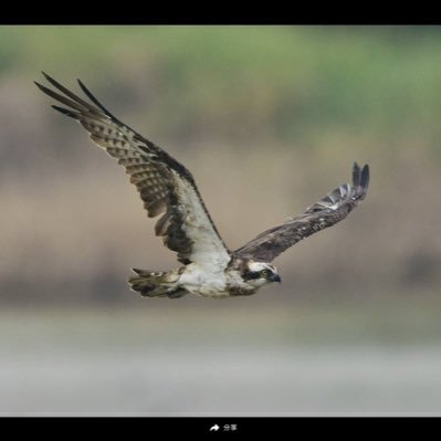 Profile Picture of Tia Joe (@tia5764) on Twitter