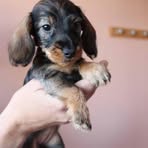 Profile Picture of Benjamin Fournet (@benjamin.fournet.9) on Facebook