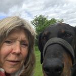 Profile Picture of Eileen Matthews (@heathwaendobes) on Instagram