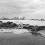 Profile Picture of Michael Williams (@mikeslazanger) on Instagram