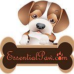 Profile Picture of Essential Paw (@essentialpaw) on Flickr