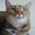 Profile Picture of The Savards (@The Savards) on Flickr