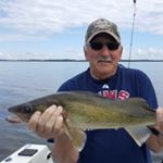 Profile Picture of George Franko (@george.franko_walleye_) on Instagram