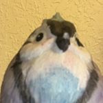 Profile Picture of Bryan Jordan  ️ (@cloaked_destin45) on Instagram