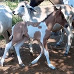 Jackson Lopez - Facebook Profile Picture of Jackson Lopez (@Jackson-Lopez) on Facebook