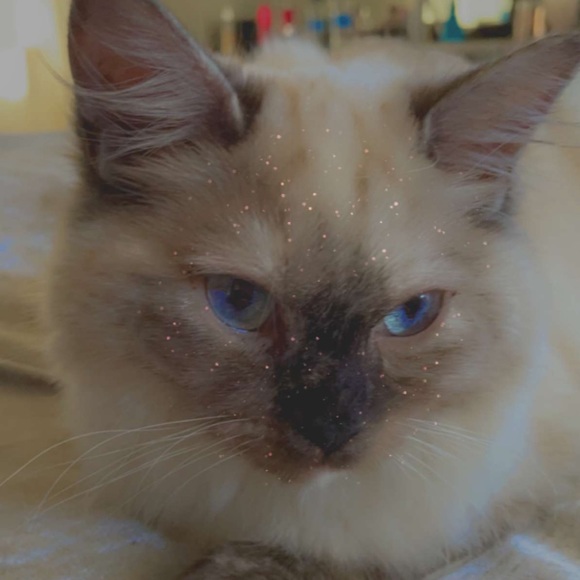 Profile Picture of Jenna Selgestad (@jennaselgestad) on Poshmark