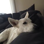 Profile Picture of Chris Wimsatt (@wimsatt0822) on Instagram