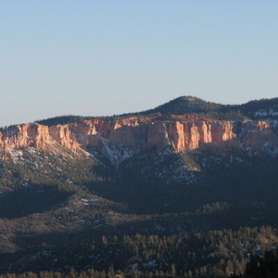 Profile Picture of Michelle Brower (@BrowerMichelle) on Twitter