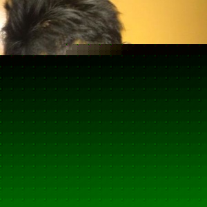 Profile Picture of Shahir Rock (@shahirock) on Myspace