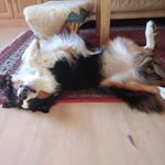 Profile Picture of vincent (@vin_sommer_) on Instagram