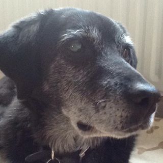 Profile Picture of Jim Richardson (@Jim-Richardson) on Facebook