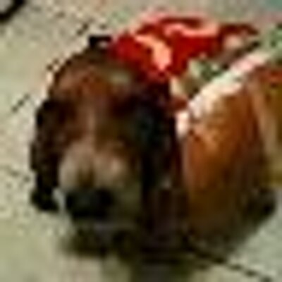 Profile Picture of Richard Helsley (@Reh0626) on Twitter