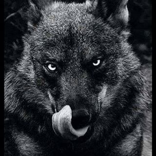 Profile Picture of Michael Ginns (Face) (@michael.ginns.7) on Facebook