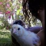 Profile Picture of Jerilynn Eileen (@herbertnotsherbert) on Instagram