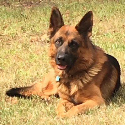 Profile Picture of Paul Ibanez (@paulibanez3) on Twitter