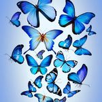 Profile Picture of Genet Hagos (@genethagos9) on Instagram