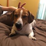 Profile Picture of Jerry Breeden (@kylee_breeden34) on Instagram