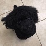 Profile Picture of Joyce Creed (@joycey1469) on Instagram