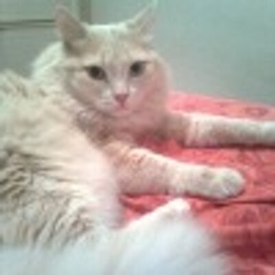 Tobias Perry - Twitter Profile Picture of Tobias Perry (@GeeTobias) on Twitter