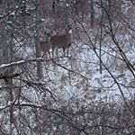 Profile Picture of David Brownson (@david.brownson.5) on Instagram