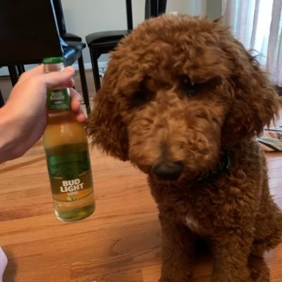 Profile Picture of Mike Gormley (@AirGormley) on Twitter