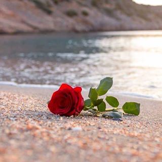 Profile Picture of Ida Albert (@ida.albert.52) on Facebook