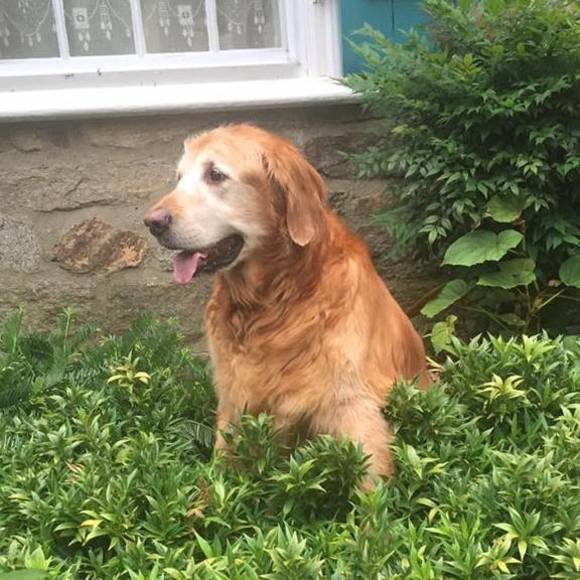 Profile Picture of Riley Neilson (@rileydog02) on Poshmark