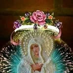 Profile Picture of Jose Criollo (@jose.criollo.526875) on Facebook