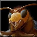 Profile Picture of Mark Klos (@mark_klos) on Instagram