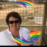 Profile Picture of Pam Nicholson (@pam__nicholson) on Instagram
