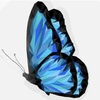 Profile Picture of Tamara Parrott (@@thecreativehufflepuff) on Tiktok