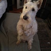 Profile Picture of David Koenig (@david-koenig-11) on Quora