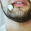 Profile Picture of Adel Aloush (@adelaloush) on Flickr