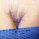 Profile Picture of Hans Meier (@hamei1) on Instagram