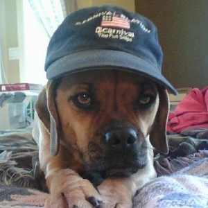 Profile Picture of Ralph Florence (@415070882) on Myspace