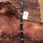 Profile Picture of Michael Singer (@soil.boi) on Instagram