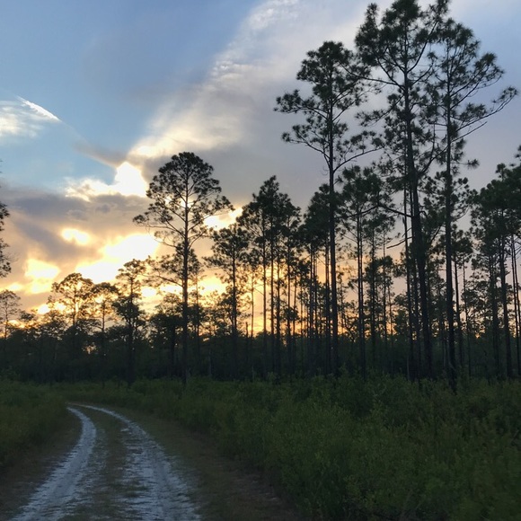 Profile Picture of Andrew Schuknecht (@ashuggz21) on Poshmark