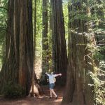 Codi Sigrist - Instagram Profile Picture of Codi Sigrist (@fredsterc) on Instagram