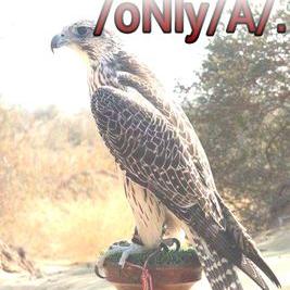 Profile Picture of Azeem Ullah (@azeemullah756) on Twitter