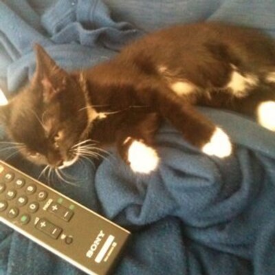 Profile Picture of Richard Austin (@RichardFAustin) on Twitter