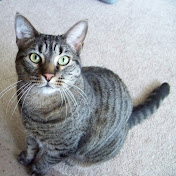 Profile Picture of Robin Takacs (@rosespike11) on Youtube