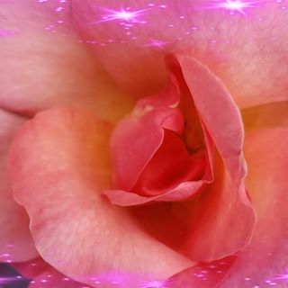 Crystal TolandSaMyn - Facebook Profile Picture of Crystal TolandSaMyn (@crystal.samyn) on Facebook