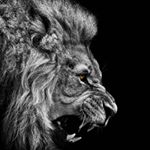 Profile Picture of Tom Andrews (@tomian10) on Instagram