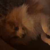 Profile Picture of Norton Engen (@nortonengen1753) on Youtube