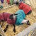 Profile Picture of Josephine Mowrer (@893672mow) on Pinterest