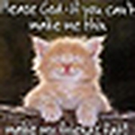 Profile Picture of Pamela Adams (@apolo19) on Flickr