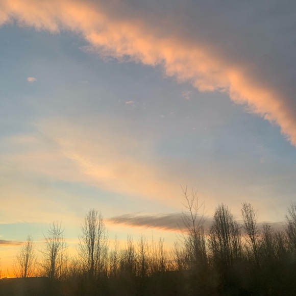 Profile Picture of Mady Rosenmayer (@madyrose16) on Poshmark