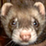 Profile Picture of Mike Schmid (@MickEMT) on Flickr